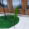 katia_01201