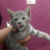 rengginang_51