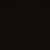 dunya._313._