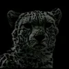 arman_1february