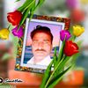 imran20244446