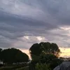 itsnico600