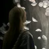 _alexa._.kcvrs_