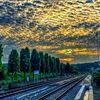 s_anwar0829