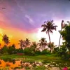 yt_80002