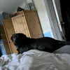 mrsmiles10