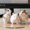 planet_hamster_rizky1