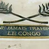 shanakionga