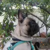spyros0673