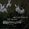 mariimed6