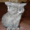 user3926652581193