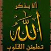 user2495971973921