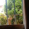 gato31023