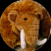 silly_woollymammoth