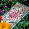 noor.ali5498