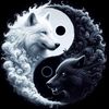 kimo_7307
