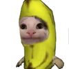 rollsy_
