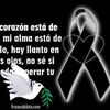 beatriz.felipe94
