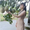 nguyenhoa1984h