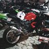 nopall2822