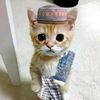 asssrull_