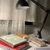 ayeeyokoriskibirbadan