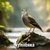 dazdrastwuet