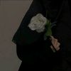 amira.mohamed45900