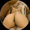 riyan_.55