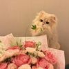 loveace20