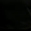 lsilii