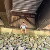 tankygc