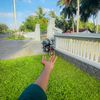 janisahmed39