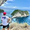 budievan11