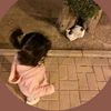 shahdyy_05