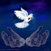 newlife.2733