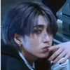 crest_han.stan