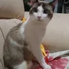 cilenevbbezerra
