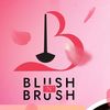 blush.n.brush1