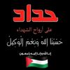 amira.ahmed3808