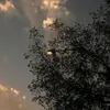 um_mostafa_3