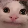 nguynduong611