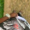 lowkey_bhidex