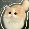 glxsyy_fida1
