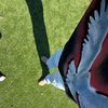 blancodanieel