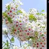 phyu.phyu59627