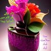 nadeem.hussain.16