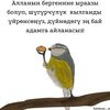 user8406181839346