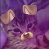 mckenna_secretacc