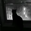 _pttl.27_
